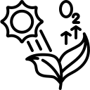 Oxygen Garden
